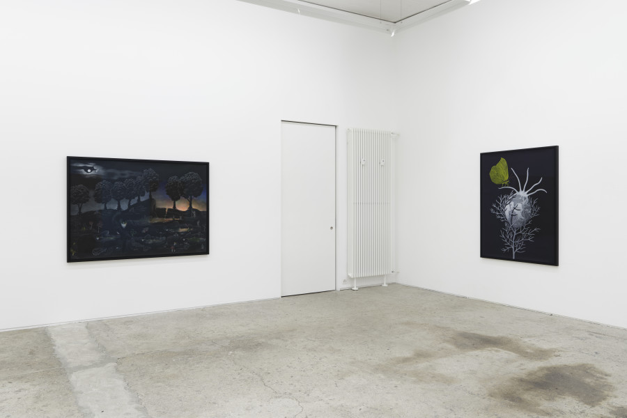 Exhibition view, Sabian Baumann, Nature (presque) morte, Galerie Mark Müller, Zürich, 2025. Photo credit: Conradin Frei & Galerie Mark Müller, Zürich.