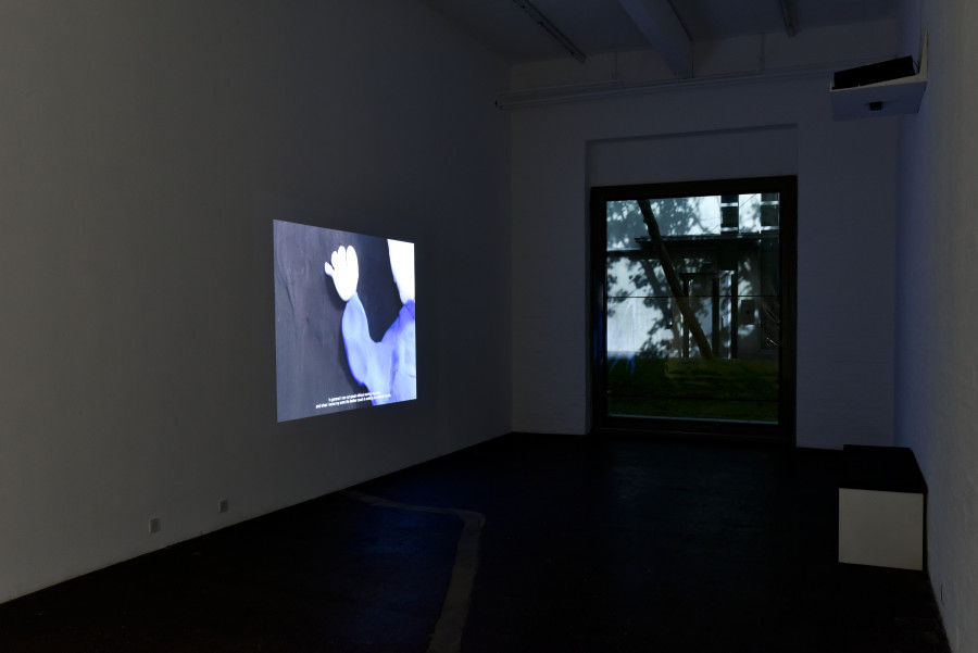 Gernot Wieland, Thievery and Songs, 2016. Courtesy: the artist. Photo: Kunst Halle Sankt Gallen, Sebastian Schaub