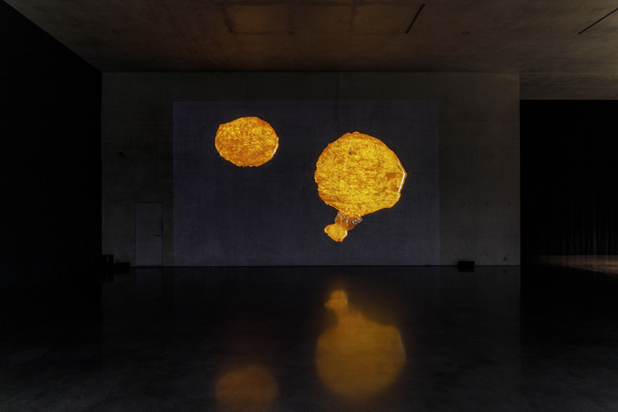 Solange Pessoa, Installation view ground floor Kunsthaus Bregenz, 2023. Photo: Markus Tretter. Courtesy of the artist © Solange Pessoa, Kunsthaus Bregenz