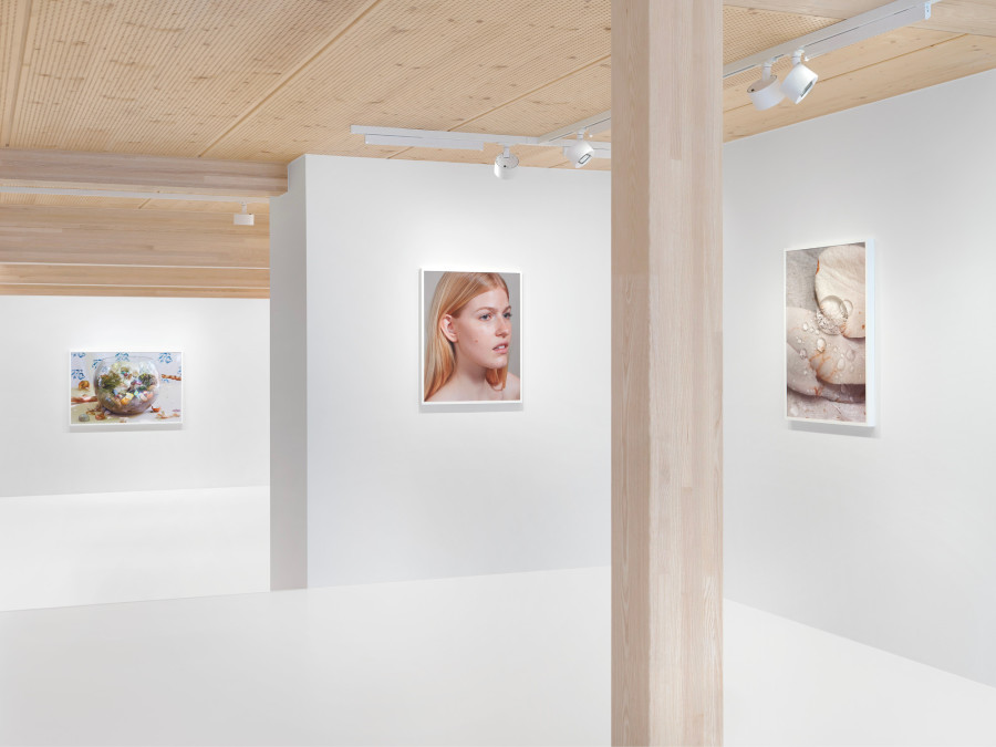 Roe Ethridge, Happy Birthday Louise Parker II, 2024, installation view. Artwork © Roe Ethridge. Photo: Annik Wetter. Courtesy Gagosian