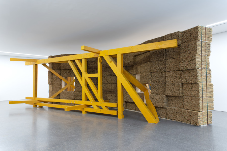 Olaf Holzapfel, Plant works, 2021, Museum of Fine Arts Chur