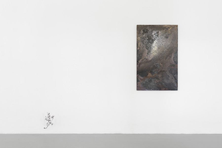 Lucia Cristiani, Spiny galaxy, 2025. Galvanised silver thistles, aluminium, 30x20x35 cm. Lucia Cristiani, Life teems in the dark, 2025. Etched mirror, sea salt, potassium, brown seaweed, 77x123 cm. Ph by Riccardo Giancola. Images courtesy of artists and La Rada, Photography by Riccardo Giancola (@riccardo_giancola) and Emanuele Finardi (@e.m.hey)