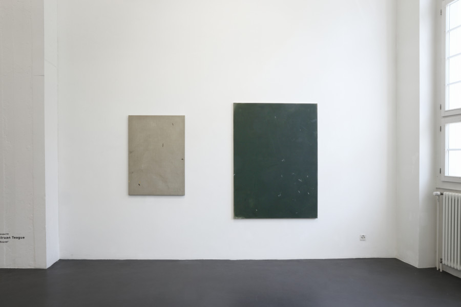 Struan Teague, Installation view, annex14, 2023