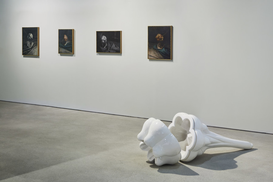 Pietro Roccasalva Chi è che ride. Installation view © Agostino Osio