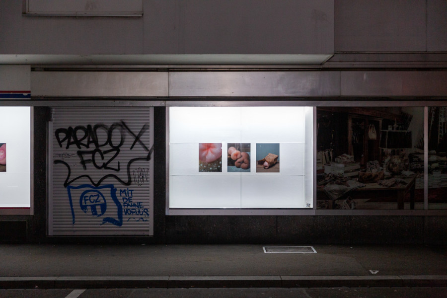 Florian Hetz, SPECIES, Die Diele Gallery, Installation view, 2022