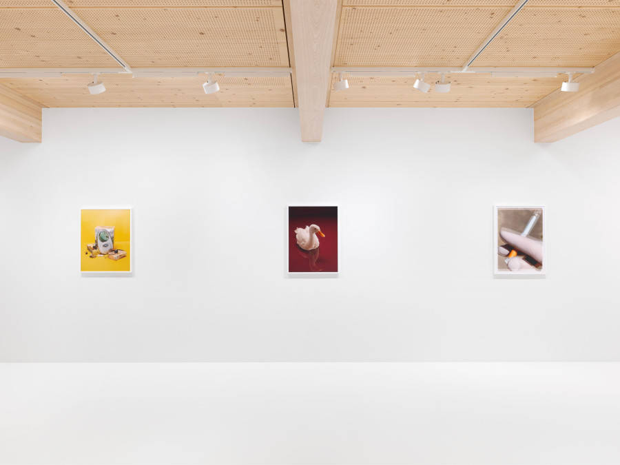 Roe Ethridge, Happy Birthday Louise Parker II, 2024, installation view. Artwork © Roe Ethridge. Photo: Annik Wetter. Courtesy Gagosian