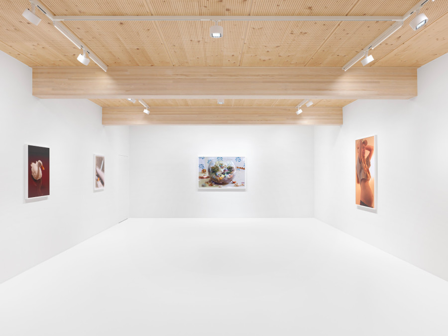 Roe Ethridge, Happy Birthday Louise Parker II, 2024, installation view. Artwork © Roe Ethridge. Photo: Annik Wetter. Courtesy Gagosian