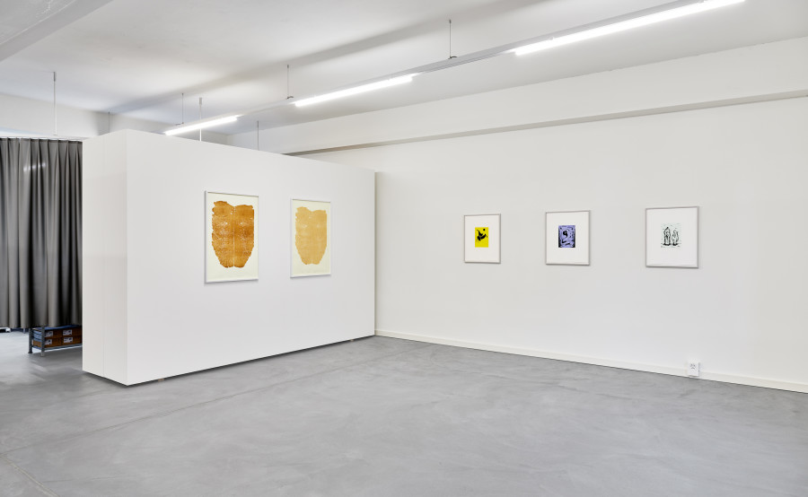 Installation view "Echoes of Imagination", Mai-Thu Perret, Gregor Hildebrandt, Franziska Furter, Dove Allouche; Photo: Bernhard Strauss