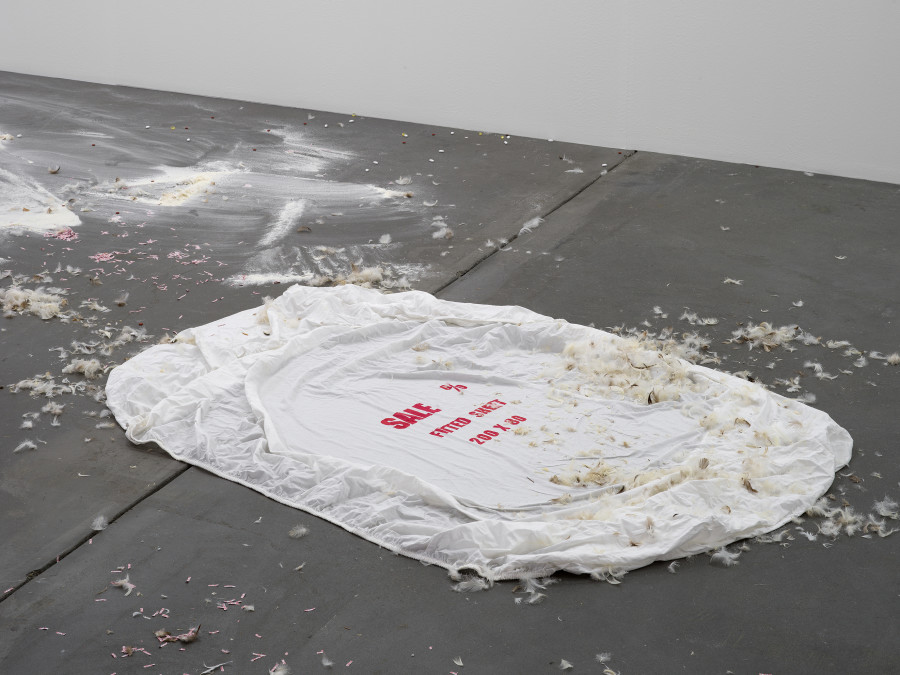 Jason Dodge, installation view, Kunsthalle Friart Fribourg, 2026. Photo: Cedric Mussano