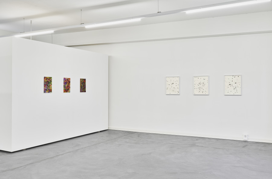 Installation view "Beyond Imagery", with artworks by Wade Guyton, Thomas Hirschhorn, Laura Arminda Kingsley, Mingjun Luo, Olga Titus, and Beat Zoderer. Edition VFO, 2024. Photo: Bernhard Strauss