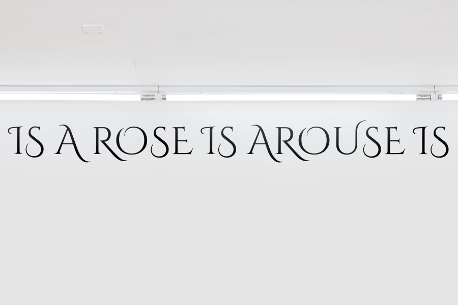 Exhibition view, Jardins Défiants (Defiant Gardens), Halle Nord, Geneva, 2025. Hanne Lippard, Loveliness Extreme, 2025. Courtesy of the artist and LambdaLambdaLambda, Pristina. Photo credit: © Thomas Maisonnasse / Halle Nord, 2025