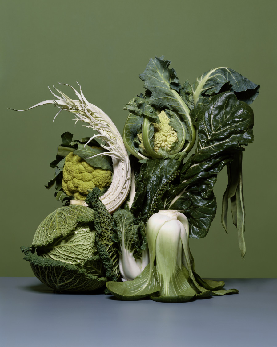 Erwan Frotin, Composition verte, The New York Times, 2004