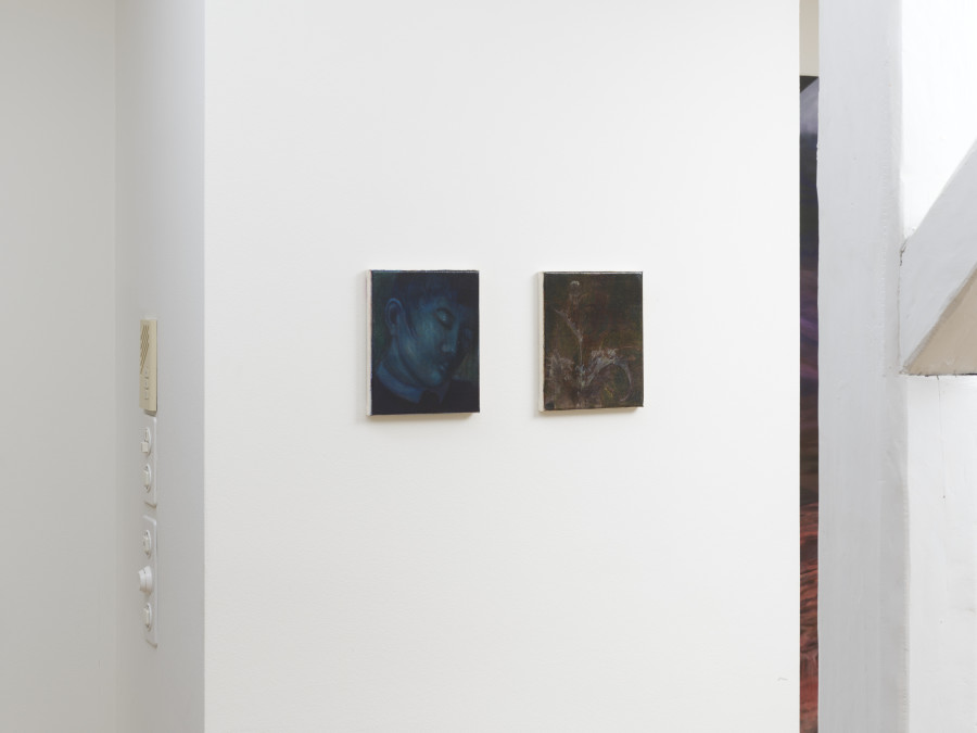 Exhibition view, 01/In-Situ: Scale, distance and itimacy adust. Not a white cube. A lived space. Noah Kohlbrenner, Body Archive, Zürich. Photo credit: Felix Jungo