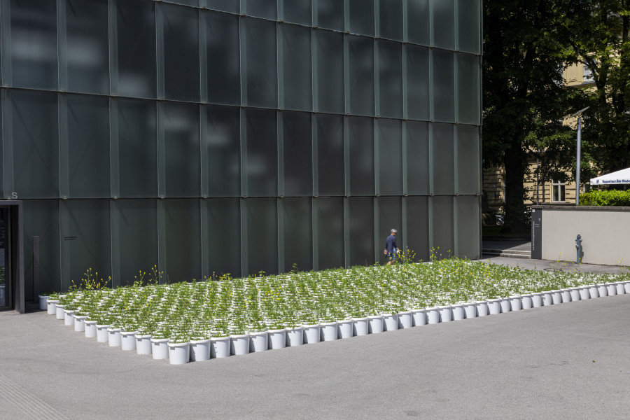 Lois Weinberger. Installation view KUB Square, Kunsthaus Bregenz 2021. Mobile Garden, 1994/2021. Photo: Markus Tretter. Courtesy of the artist. © Studio Lois Weinberger, Kunsthaus Bregenz