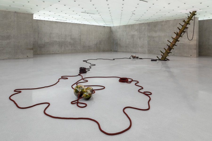 Otobong Nkanga, Unearthed – Twilight, 2021 Installation view second floor Kunsthaus Bregenz, 2021. Photo: Markus Tretter. Courtesy of the artist © Otobong Nkanga, Kunsthaus Bregenz