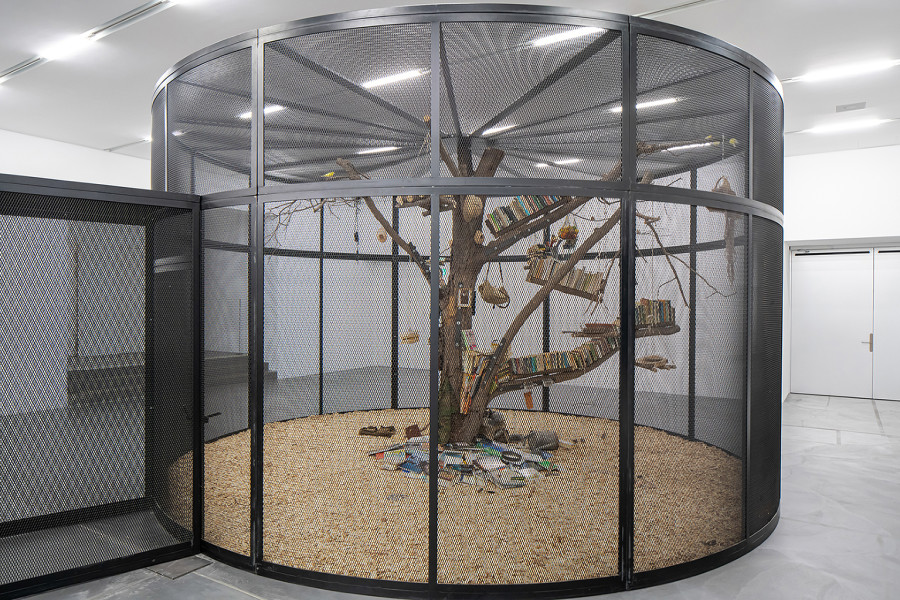 Mark Dion, The Library for the Birds of Zürich, 2016/2020, Sammlung Migros Museum für Gegenwartskunst, Foto: Lorenzo Pusterla