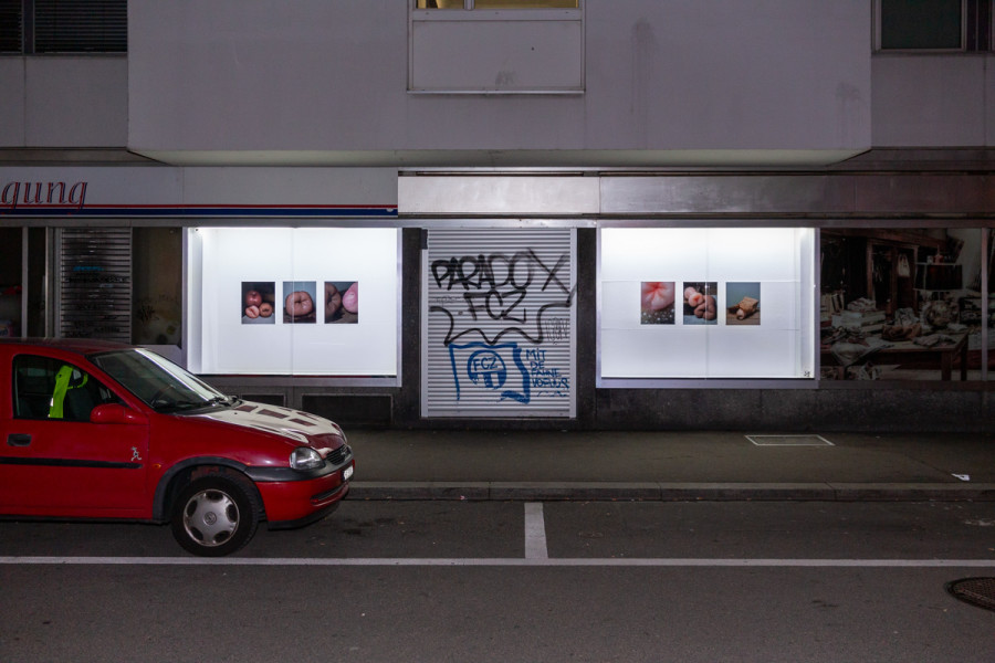 Florian Hetz, SPECIES, Die Diele Gallery, Installation view, 2022