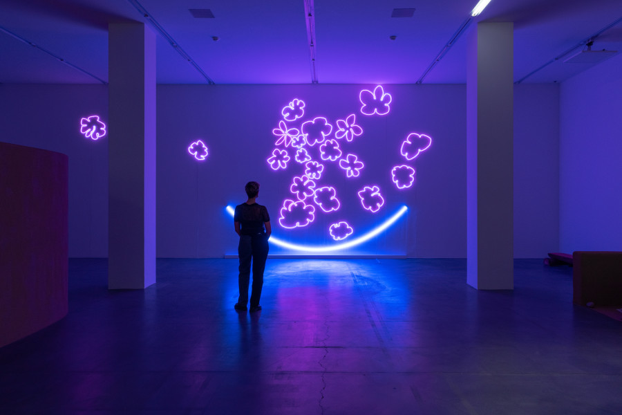 Dineo Seshee Raisibe Bopape, (Raisibe dreaming): flowers and light, flowers and light , 2023, coloured LED-lightning. Photo: Studio Stucky, courtesy of the artist and Sfeir- Semler Gallery, Beirut/Hamburg.