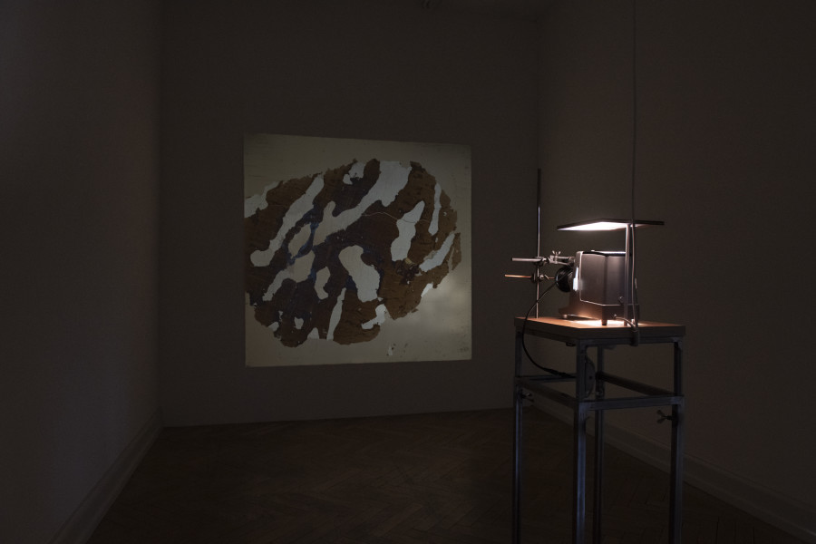 Le Sacre du Printemps, Installation view, Room 3, Franziska Baumgartner, Petroscopy, 2024, Photo: Nina Rieben