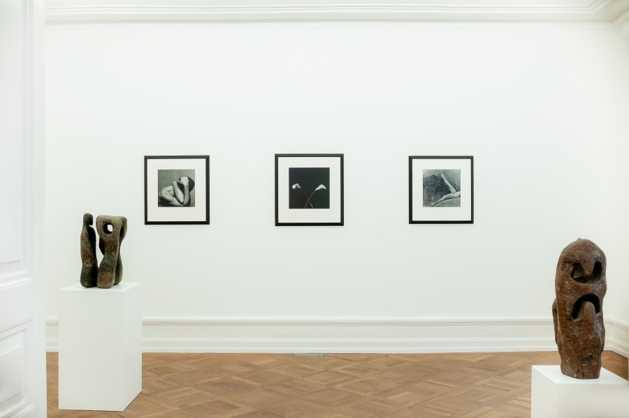 Robert Mapplethorpe and Sōfū Teshigahara: MAPPLETHORPE / TESHIGAHARA, Exhibition view, 2023, Mai 36 Galerie.