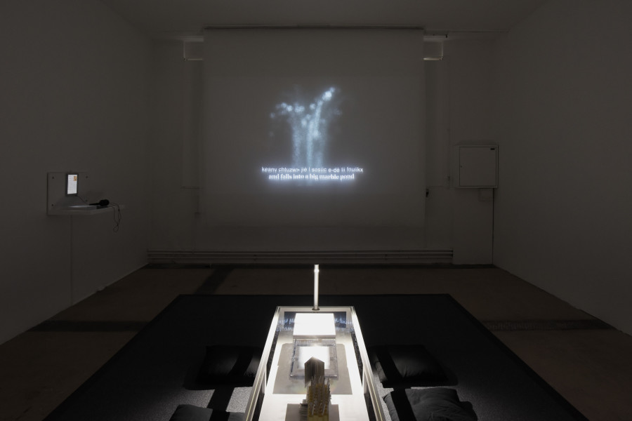 Exhibition view of Scrivere Disegnando. When Language Seeks Its Other at Centre d’Art Contemporain Genève (January 29-May 3, 2020). © Centre d’Art Contemporain Genève. Photo: Mathilda Olmi