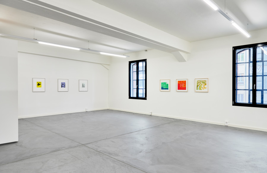 Installation view "Echoes of Imagination", Mai-Thu Perret, Gregor Hildebrandt, Franziska Furter, Dove Allouche; Photo: Bernhard Strauss