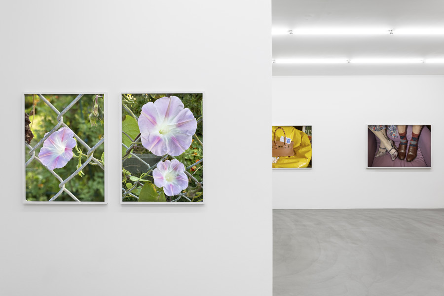 Exhibition view, Roe Ethridge, Sensible Shoes at Mai 36 Galerie, Zurich. Photo Credits: Peter Baracchi. Courtesy of the artist and Mai 36 Galerie