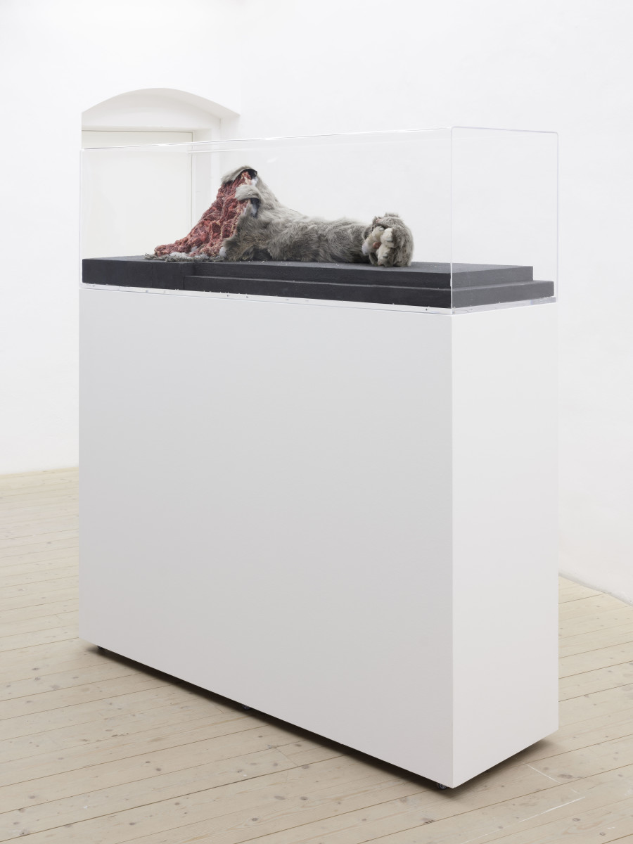 Alessandro Di Pietro, Ghostwriting Paul Thek: Time Capsules and Reliquaries, Installation view, 2023, CAN Centre d’Art Neuchâtel. Photography: Sebastian Verdon / all images copyright and courtesy of the artist and CAN Centre d’art Neuchâtel