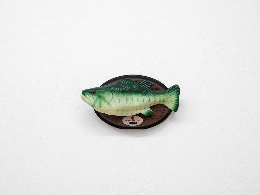 alfatih, Adagio for fish: Brenda, 2026, exhi- bition view Kunsthaus Langenthal. Photo: Cedric Mussano, Kunsthaus Langenthal. Courtesy: the artist.