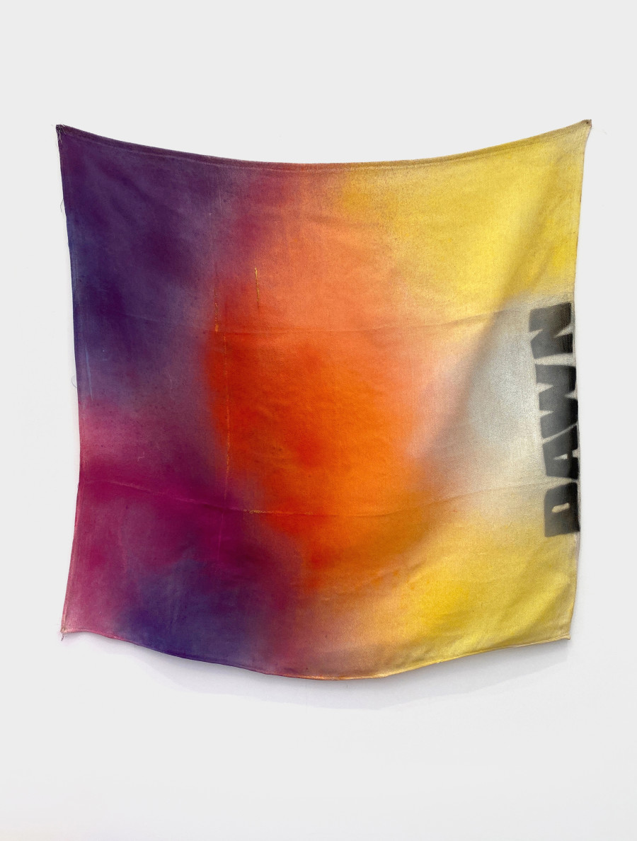 Rochelle Feinstein, Dawned, 2022, Acrylic, acrylic enamel spray paint on cotton drop cloth, 130 x 130 cm