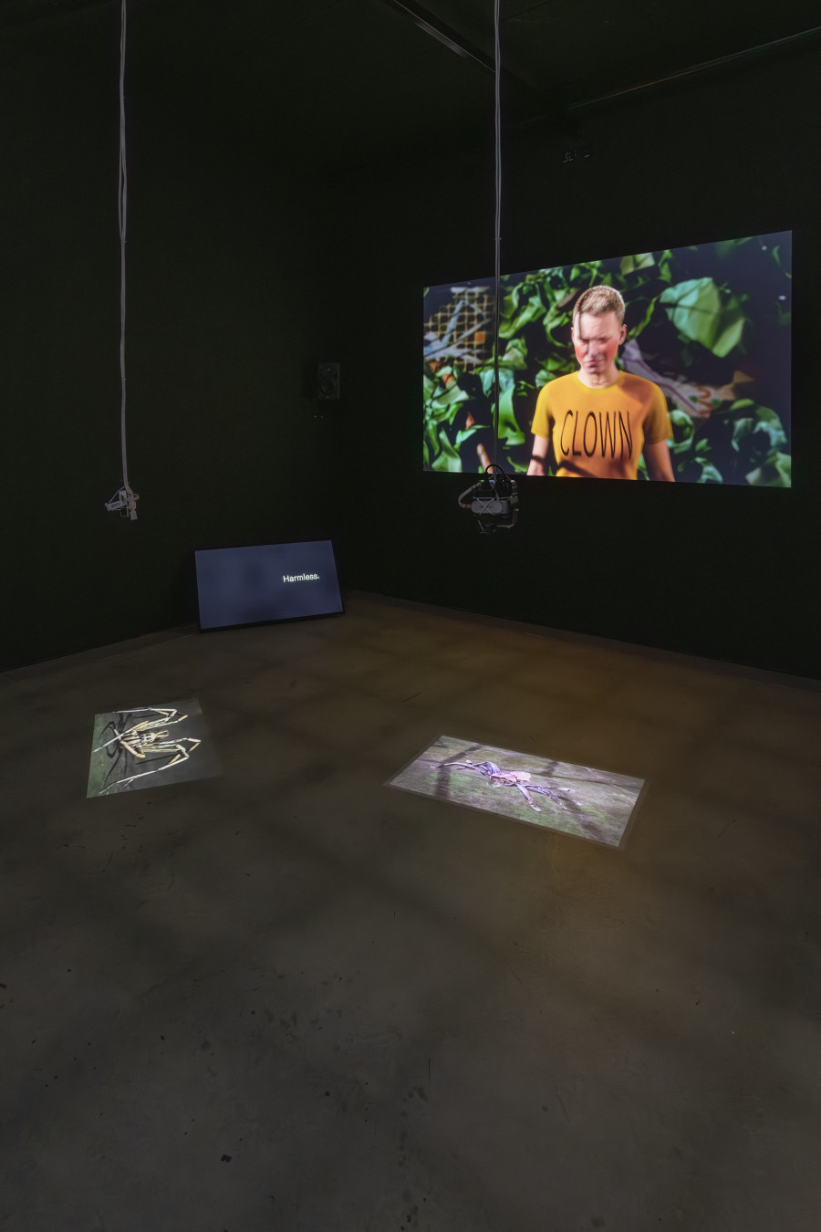 Rhona Mühlebach, Antechamber of Supporting Characters, 2024, «Lukas Truniger, Isabell Bullerschen, Rhona Mühlebach – Swiss Media Art – Pax Art Awards 2025», 2026, HEK, photo: Franz Wamhof