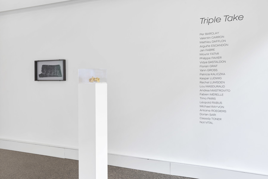 Exhibition view, Triple Take, Wilde, 2022. Credits: Images courtesy of Wilde and the artists. Photos by Philipp Hänger.