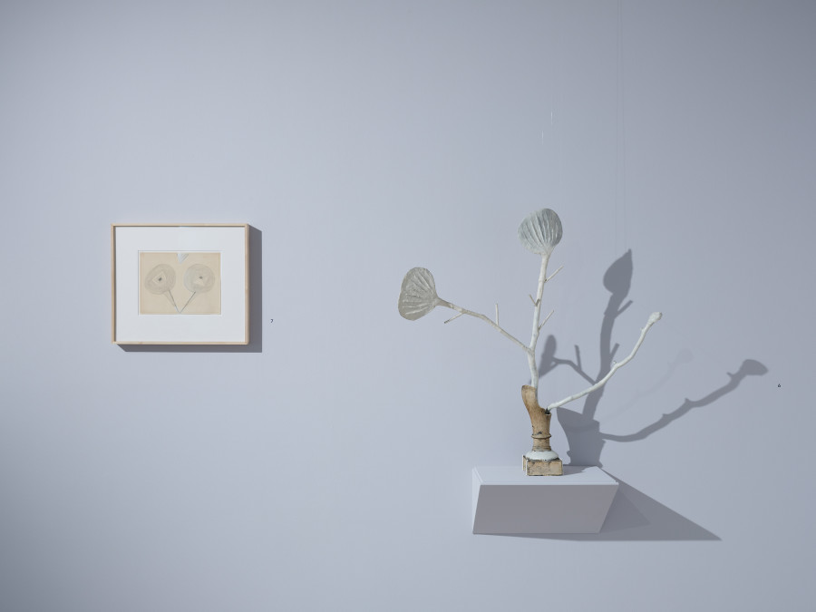 Exhibition view, «Träumende Dinge – Heidi Bucher, Miriam Cahn, Meret Oppenheim, Hannah Villiger, Ilse Weber et al.», Kunsthaus Zug, 2026, © 2026, ProLitteris, Zurich. Photo: Ernst Kehrli