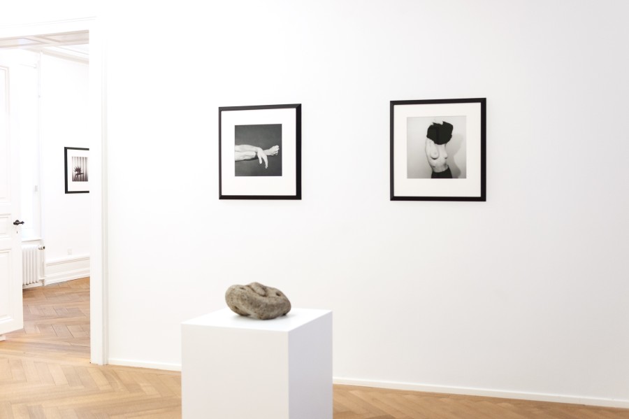 Robert Mapplethorpe and Sōfū Teshigahara: MAPPLETHORPE / TESHIGAHARA, Exhibition view, 2023, Mai 36 Galerie.