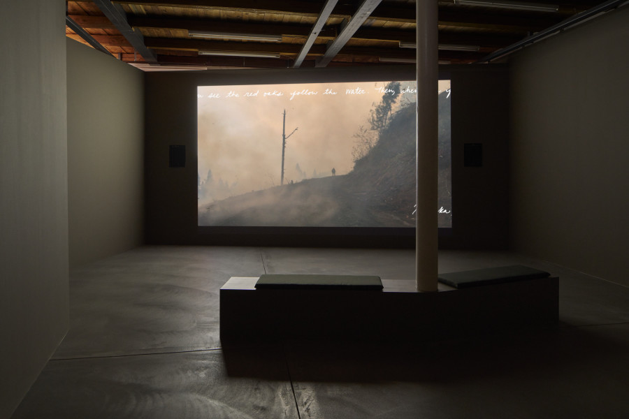 Exhibition view, Sky Hopinka, Our Ailing Senses, Kunsthalle Friart Fribourg, 2024. Photo: Guillaume Python. Courtesy Kunsthalle Friart Fribourg