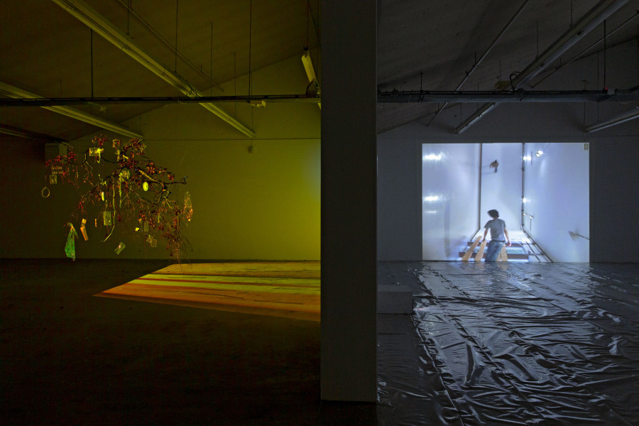 Pipilotti Rist, Apple Tree Innocent on Diamond Hill, 2003. Courtesy the artist, Hauser & Wirth and Luhring Augustine; Sergio Prego, Para-, 2004. Courtesy the artist. Ausstellungsansicht / Installation view Kunsthaus Baselland 2021. Foto / Photo: Gina Folly