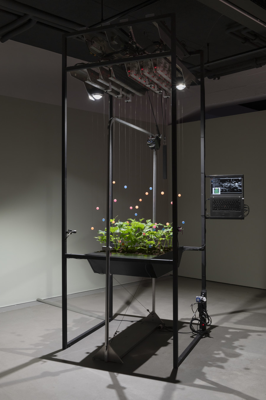 Špela Petrič, PL’AI, 2020, «Other Intelligences», 2025, HEK, photo: Franz Wamhof