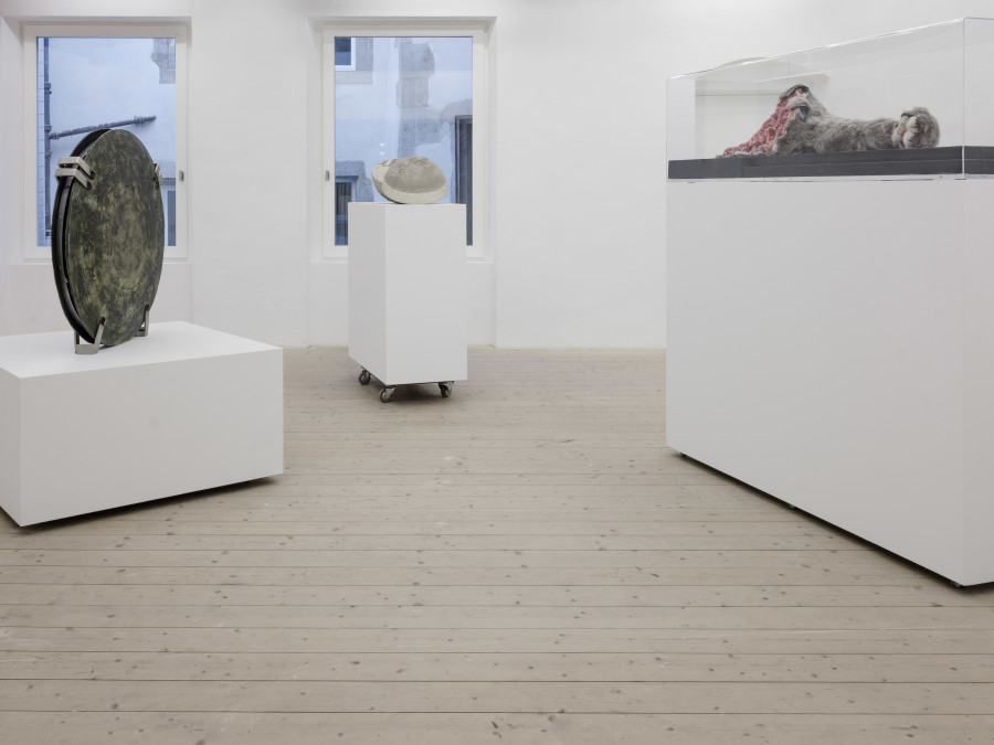 Alessandro Di Pietro, Ghostwriting Paul Thek: Time Capsules and Reliquaries, Installation view, 2023, CAN Centre d’Art Neuchâtel. Photography: Sebastian Verdon / all images copyright and courtesy of the artist and CAN Centre d’art Neuchâtel