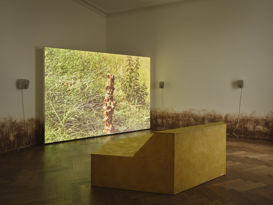 Diambe, Cera perdida | Lost wax, 2025 installation view, in: Diambe, Bees beings beans, Kunsthalle Basel, 2026, photo: Philipp Hänger / Kunsthalle Basel