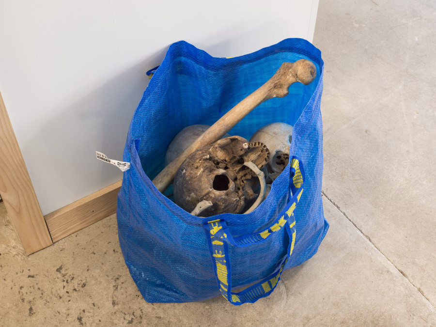 Puppies Puppies (Jade Kuriki Olivo), Human Bones in an Ikea Bag (blue) (yellow) (green), 2016, Real human bones, Ikea bag, Courtesy the artist. Photo: CE