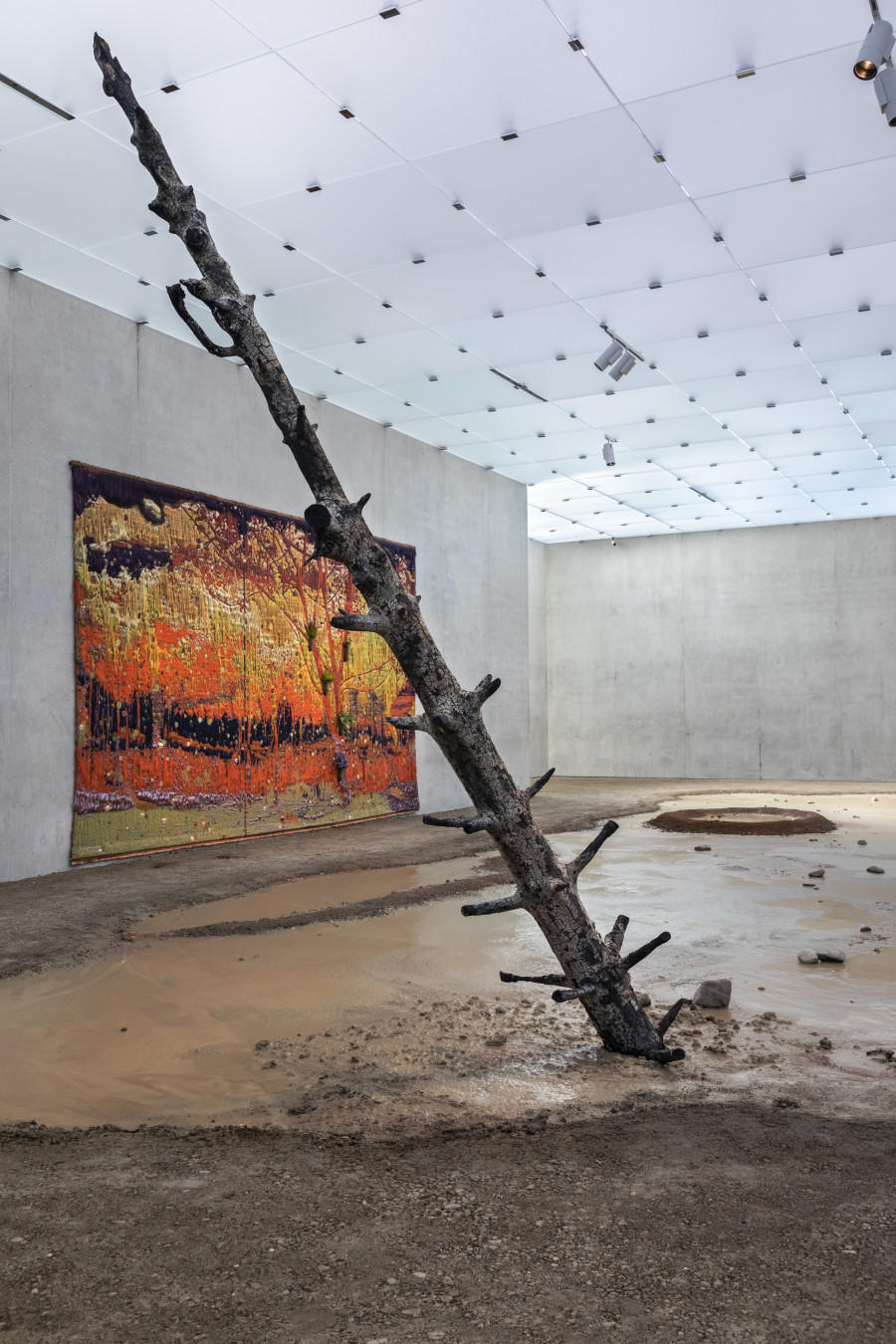 Otobong Nkanga, Unearthed – Sunlight, 2021. Installation view third floor Kunsthaus Bregenz, 2021. Photo: Markus Tretter. Courtesy of the artist © Otobong Nkanga, Kunsthaus Bregenz