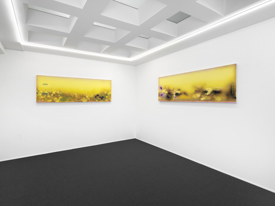 Exhibition view, Natacha Donzé, Predictive Meadows, galerie lange + pult, 2022. Photo: Julien Gremaud