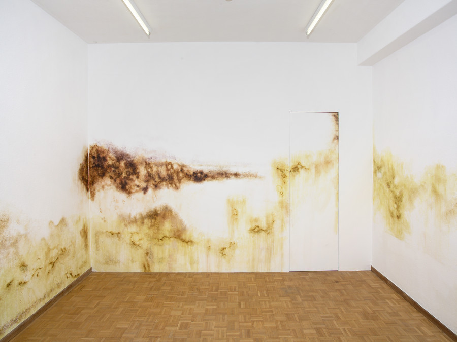 Ceylan Öztrük, Mold Work II, 2022, Collaboration with Emina Sljivar, Painting on the wall, Variable Dimensions. Picture credit: Philipp Rupp/Julien Gremaud. Courtesy of the artist and Sentiment