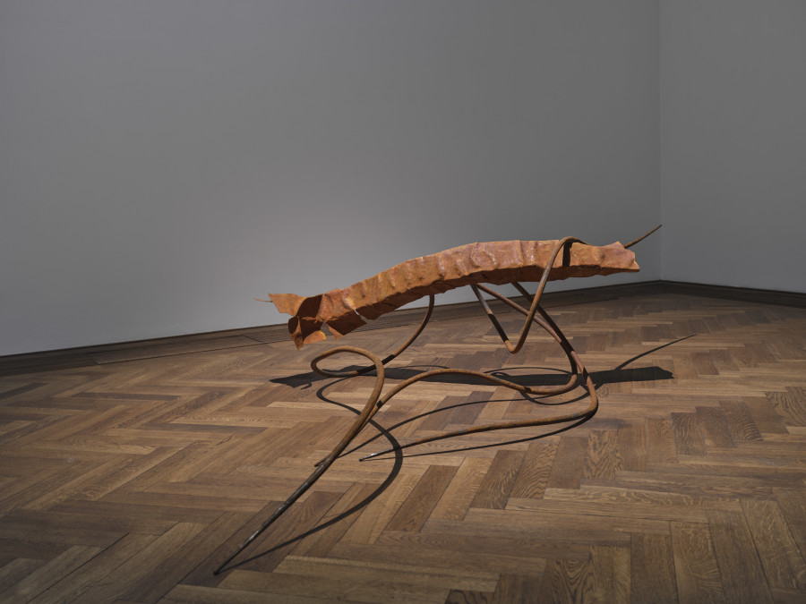 Dominique White, the arrogance of Land, 2026, installation view, in: Dominique White, All Great Powers Collapse from the Centre, Kunsthalle Basel, 2026, photo: Philipp Hänger / Kunsthalle Basel