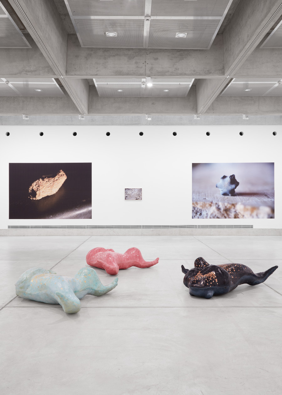 Exhibition view, Temps de Mars, Musée des beaux-arts de La Chaux-de-Fonds, 2024. Photo credit: Gaspard Gigon