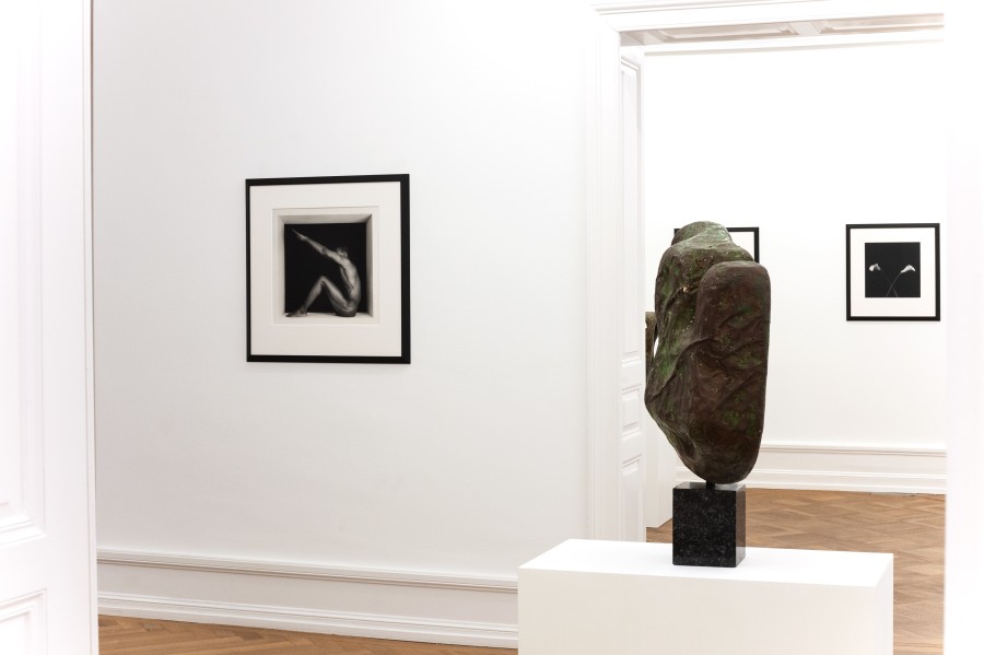 Robert Mapplethorpe and Sōfū Teshigahara: MAPPLETHORPE / TESHIGAHARA, Exhibition view, 2023, Mai 36 Galerie.