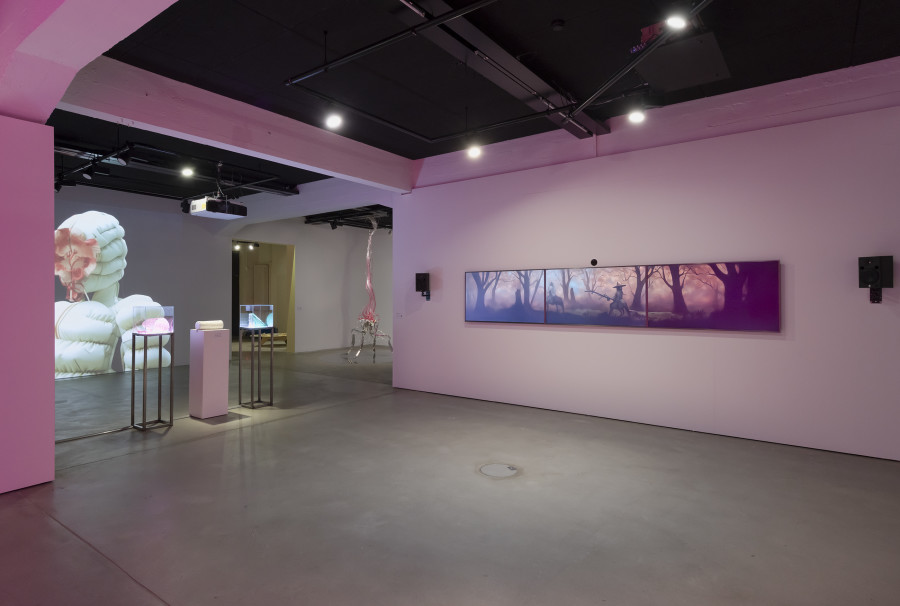 Exhibition view «Other Intelligences», 2025, HEK, photo: Franz Wamhof