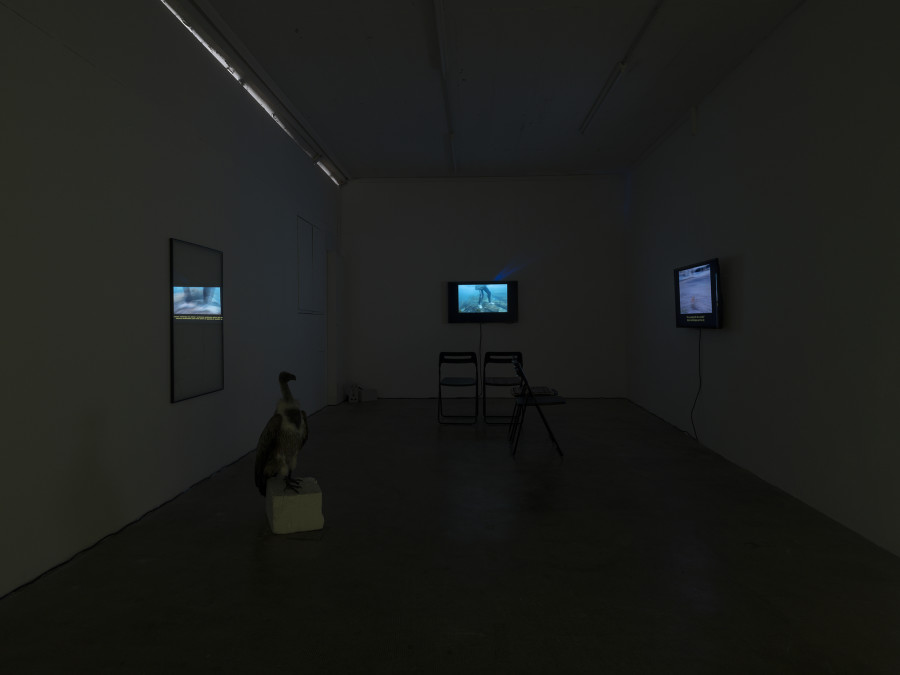 Installation view, Roman Selim Khereddine, Hard-Won Images 2, Tunnel Tunnel, 2022. Photo: Julien Gremaud