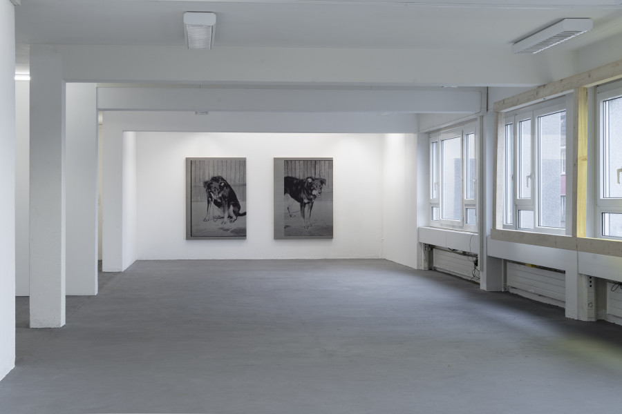 Kelly Tissot - Polka, Installation view at suns.works, 2021-2022. Courtesy the artist and suns.works. Photography: Claude Barrault