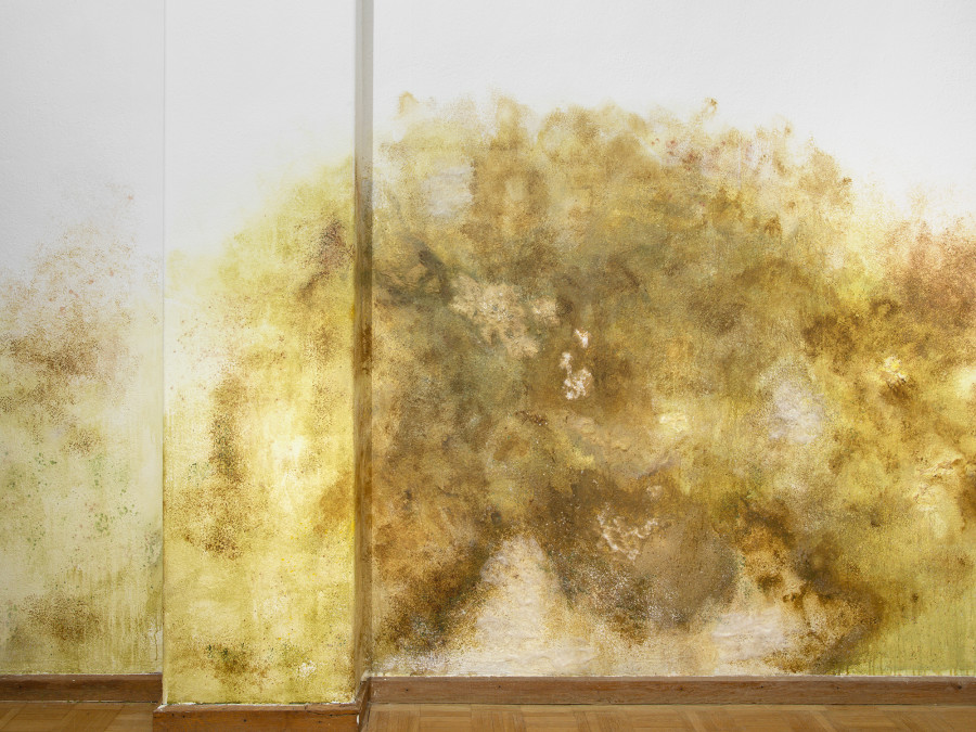 Ceylan Öztrük, Mold Work II, 2022, Collaboration with Emina Sljivar, Painting on the wall, Variable Dimensions. Picture credit: Philipp Rupp/Julien Gremaud. Courtesy of the artist and Sentiment